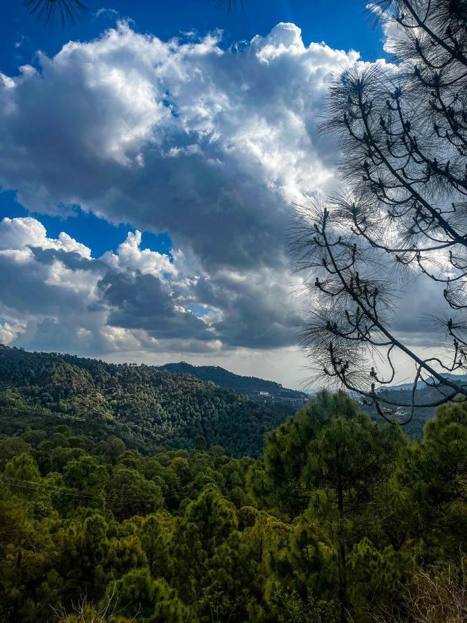 Casa Belvedere Luxury Villas Dagshai Εξωτερικό φωτογραφία