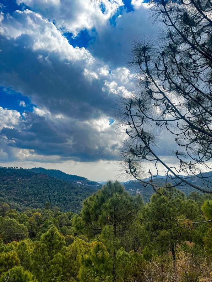 Casa Belvedere Luxury Villas Dagshai Εξωτερικό φωτογραφία